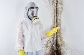 Best Residential Mold Inspection & Testing  in Marshallton, PA